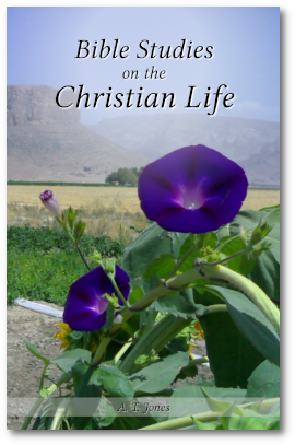 Bible Studies on the Christian Life