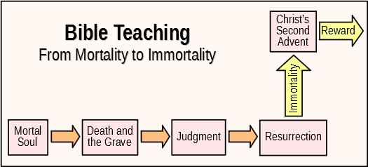 Bible Teaching: Mortality to Immortality
