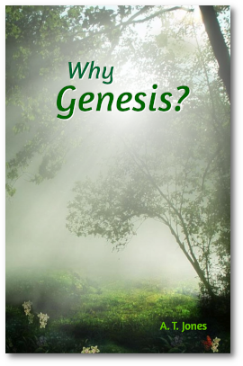 Why Genesis?