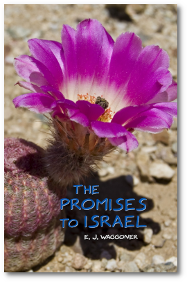 The Promises to Israel