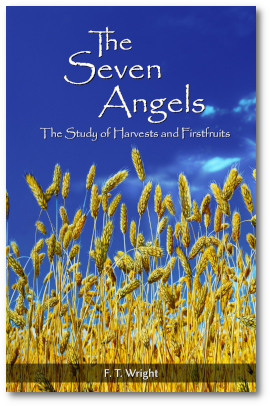 The Seven Angels