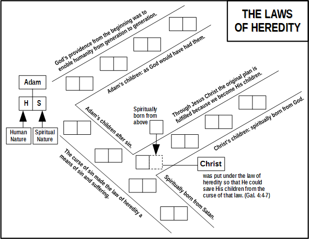 Diagram: The Law of Heredity