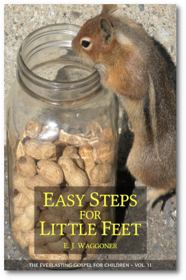 Easy Steps for Little Feet