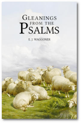 Gleanings from the Psalms