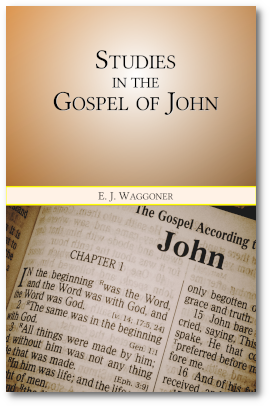 Studies in the Gospel of John