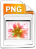 PNG Images